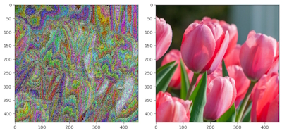 Flower Classifier preview